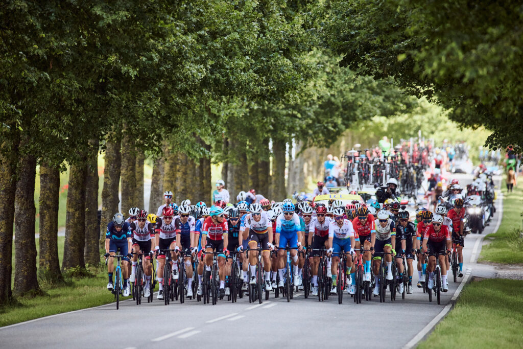 Ciclistas en medio de los árboles