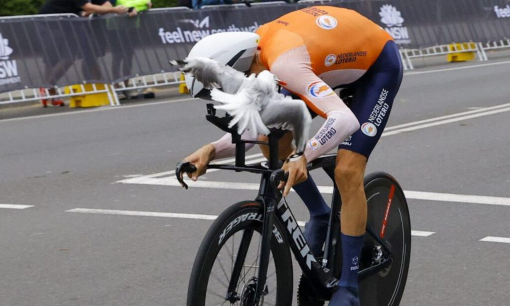 Bauke Mollema recibe ataque de gaviota en el Mundial 2022