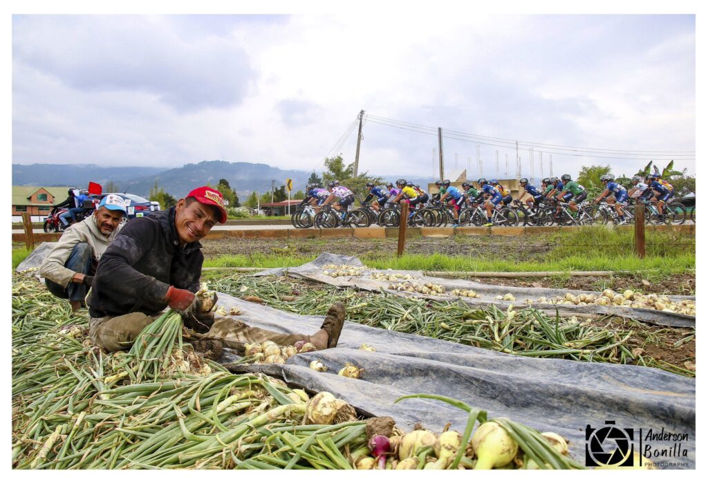 Campesinos cultivando cebolla y el pelotón atrás