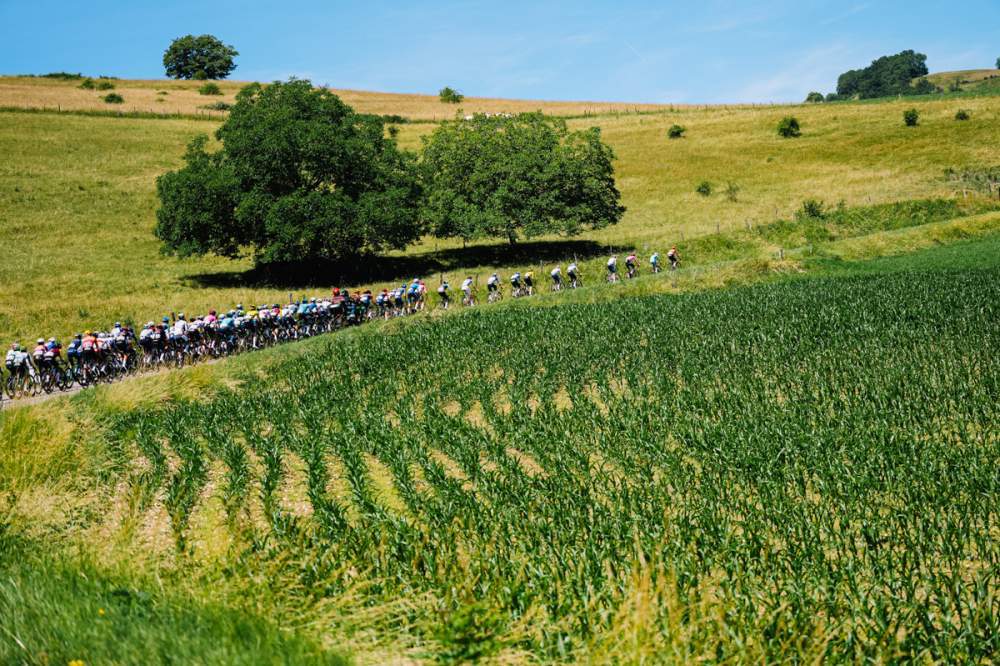 Pelotón del Tour Auvergne - Rhône-Alpes en zona de montaña
