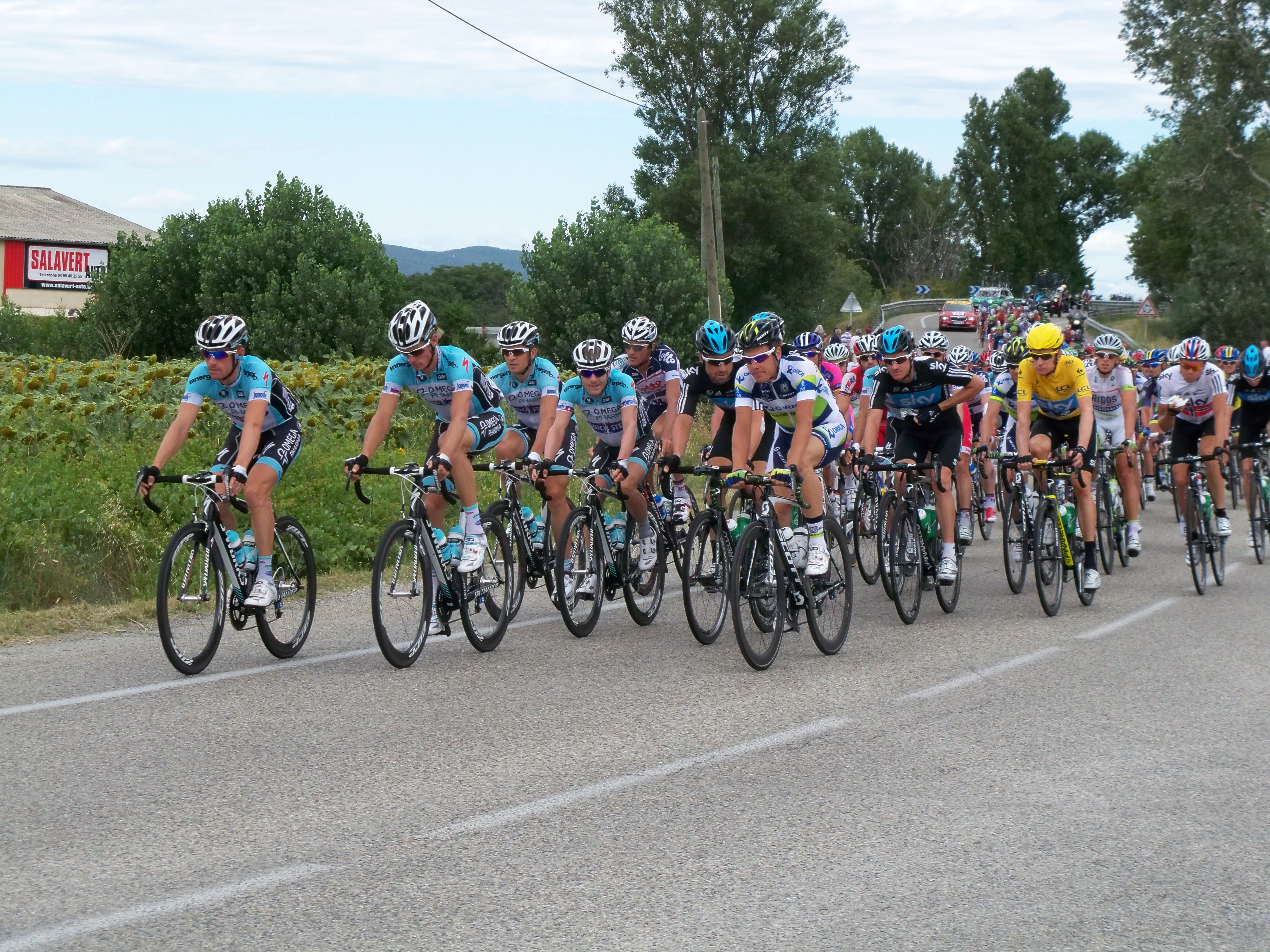 Pelotón del Tour de Francia en carrera