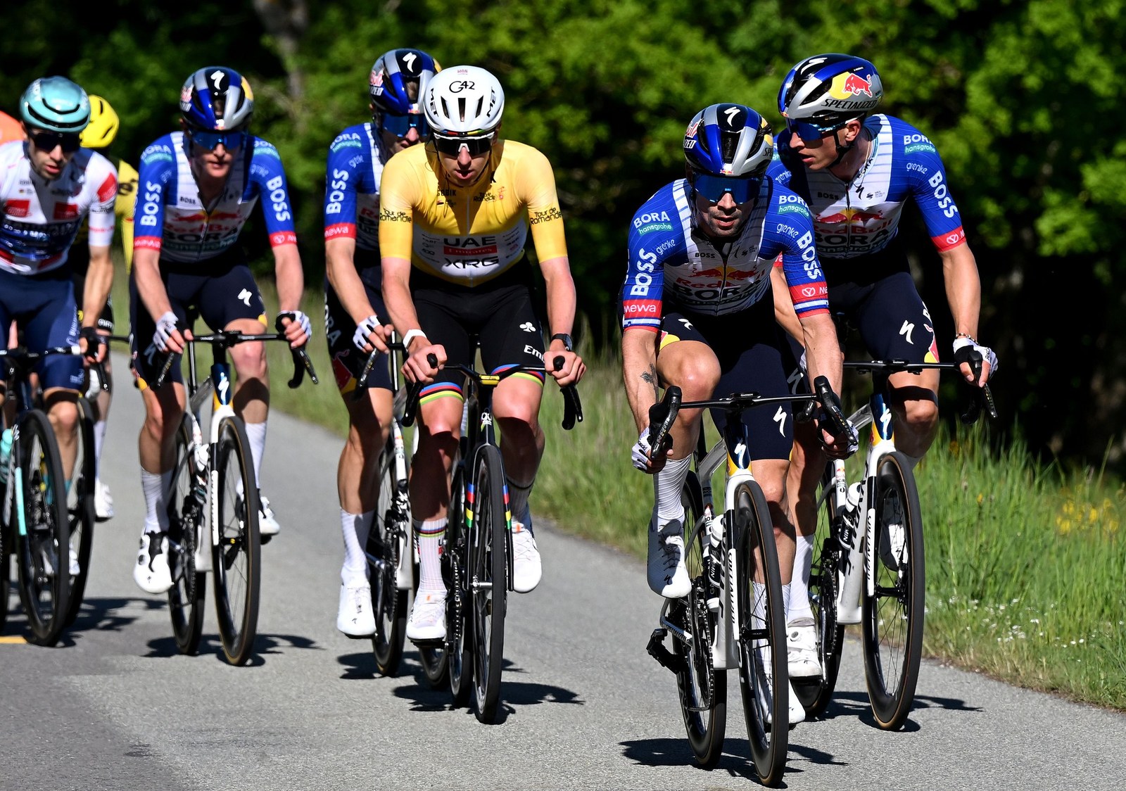 Primoz Roglic en carrera con Red Bull-BORA-hansgrohe